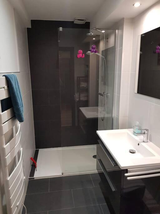 Les Toits D'helene Apartment *